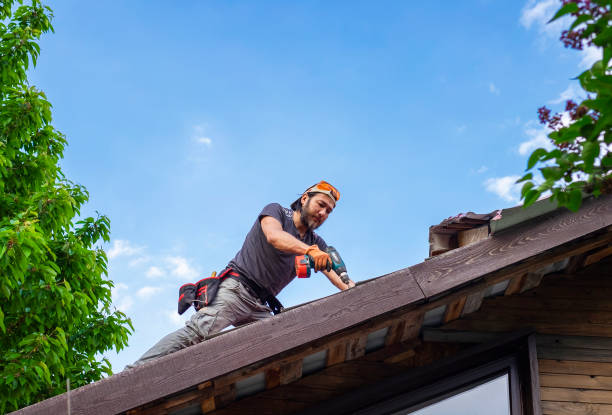 Fast & Reliable Emergency Roof Repairs in San Antonio, FL